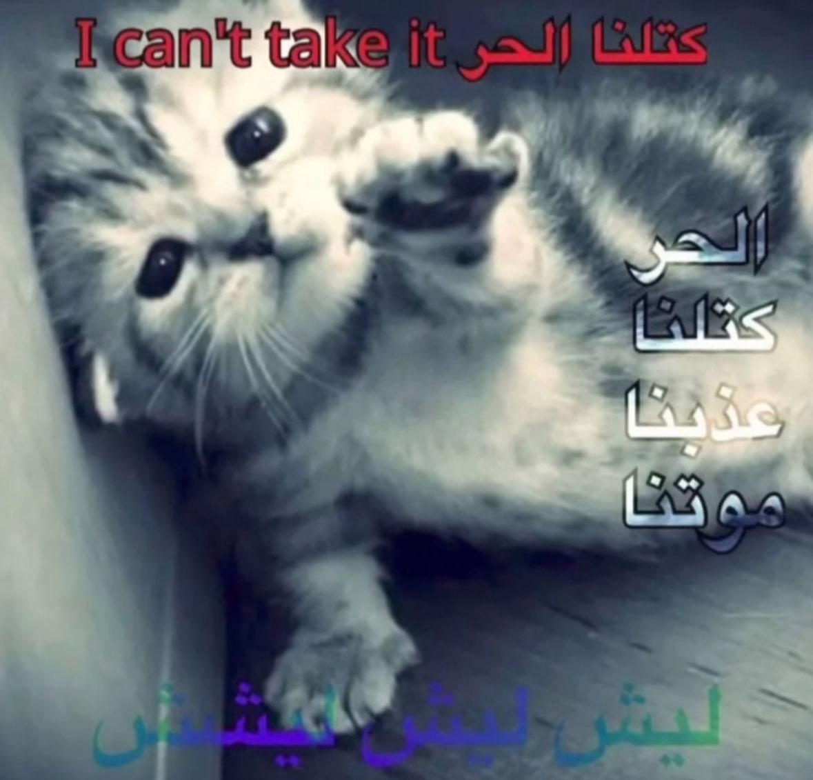 piqilo's tweet photo. حر اليوم مب طبيعي https://t.co/2SWBx2o3ar