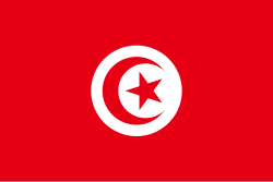 دعم الحسابات tweet media