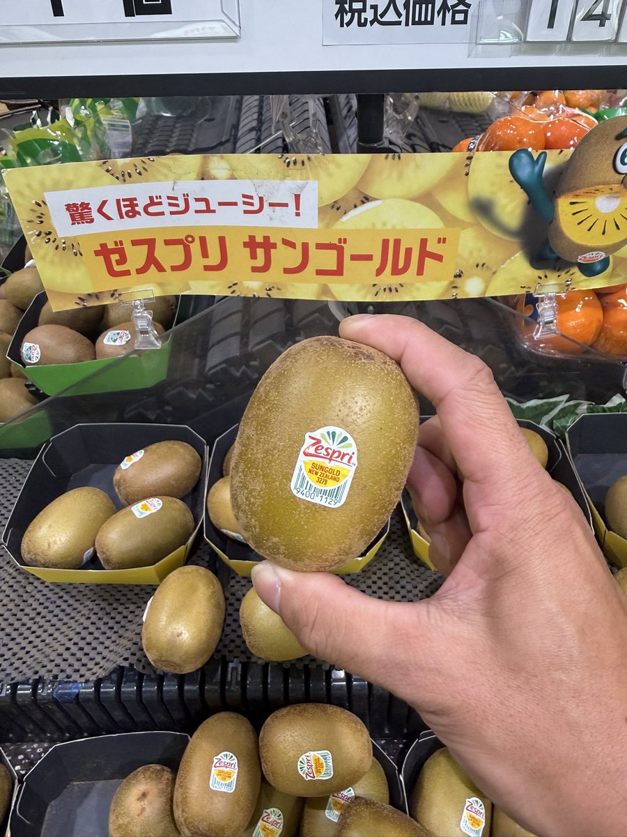yellow_rabbit_7's tweet photo. お疲れバニー🐰

ゴールドキウイ界隈では、こうやって持つらしい🥝

そして、耳たぶぐらいの硬さで、楕円でへらべったくて、毛が少ないのが甘くて美味しいんだって！

今日　#日本橋三井ホール  で、ライブがある推しが言うてた🫣

しかしだな…そんなキウイ見つけれんって🥲笑

#ただ共鳴
#藤川千愛 https://t.co/RUF8q92hHj