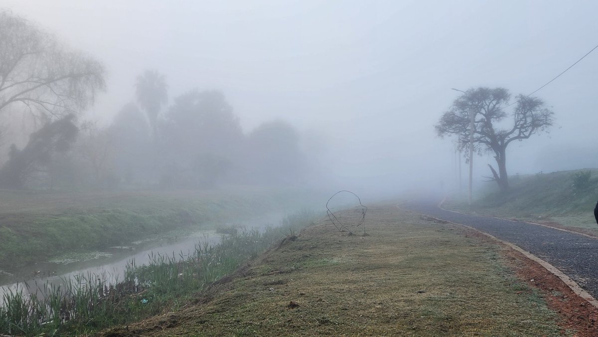 CorderoPiazza's tweet photo. La bruma y el frío no impidió una interesante recorrida el Parque Lineal Laureles obra PDGS / OPP junto a la Id Rio Negro se aplican conceptos actuales en tratamiento de taludes de borde de arroyos y genera una importante  conexión en la ciudad con  sus sendas peatonales https://t.co/kjQhUVpaFT