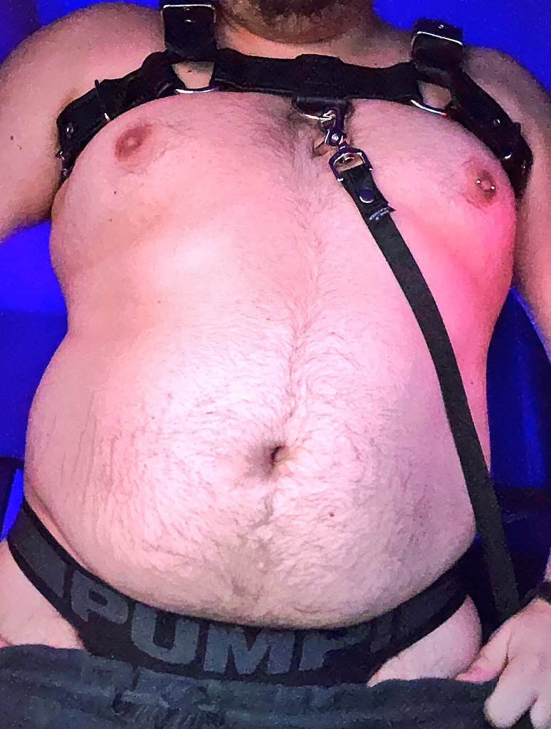 marten_paws's tweet photo. Happy fat boy Friday pups https://t.co/7Pm2Ha4N2V