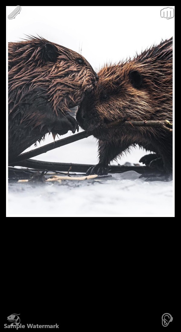dpmoradiya's tweet photo. Achieve a gentle balance between work and life. On the basketball court, we cast aside all hesitation and fear, retaining only our most sincere passion and the resolute determination to fight for every second. https://t.co/s6tmXklnoc