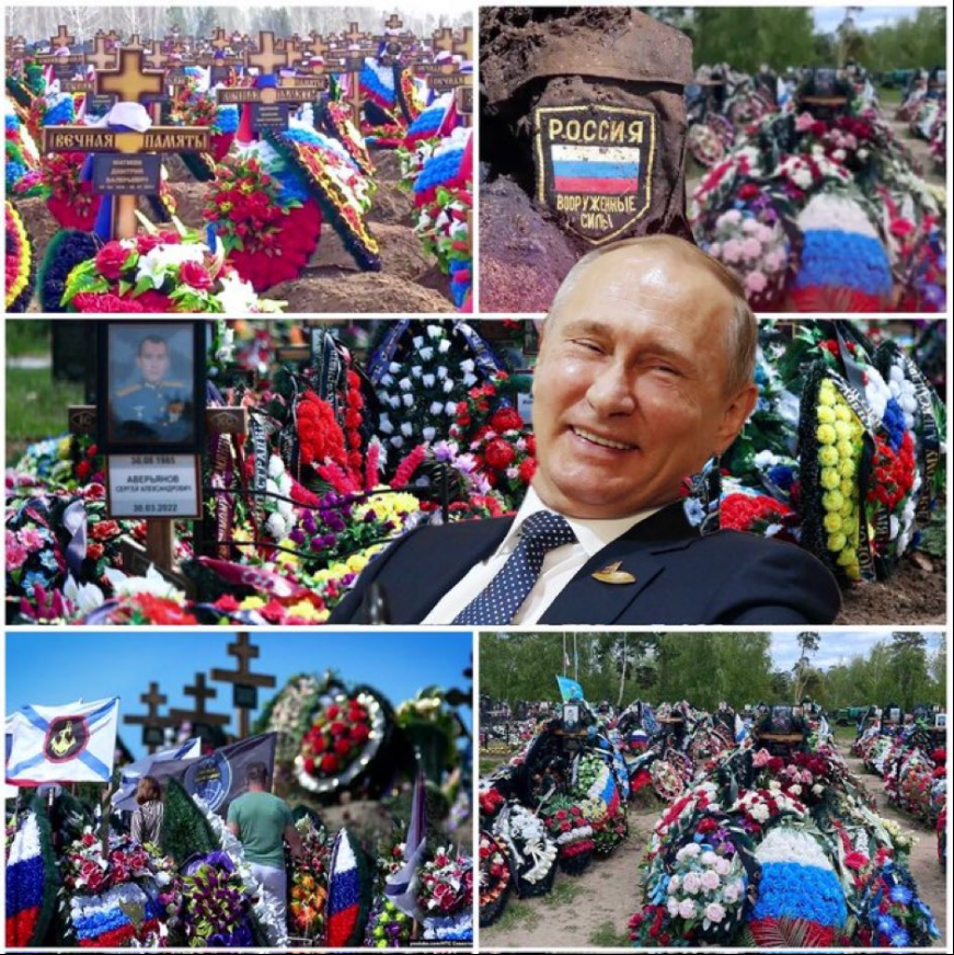 borodada2's tweet photo. @Perimetr123 ангел-хранитель будет всегда рядом https://t.co/KqvpcEP8y0