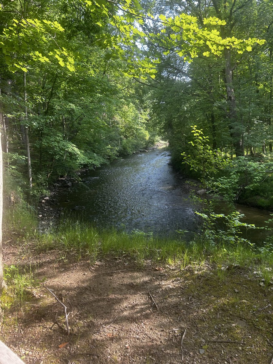 JackalopeTooth's tweet photo. Gotta go places like this so I don't lose my sht on everyone 🙂‍↔️✨ https://t.co/R4R4H77tiG