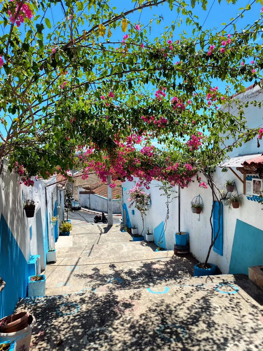 lidya_Benmehdi's tweet photo. Béjaïa, Algérie https://t.co/2N57AYyKKC