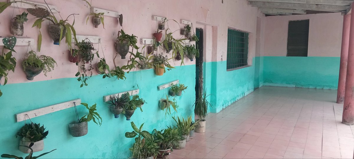 gerardops86's tweet photo. Institución Educativa Troadio Bosch en #JesúsMenéndez faro de conocimiento y valores, formadora de varias generaciones que hoy engrandecen nuestro municipio.  #DGEChaparra
#PorLasTunasLaVictoria https://t.co/Q65MxcqbHf