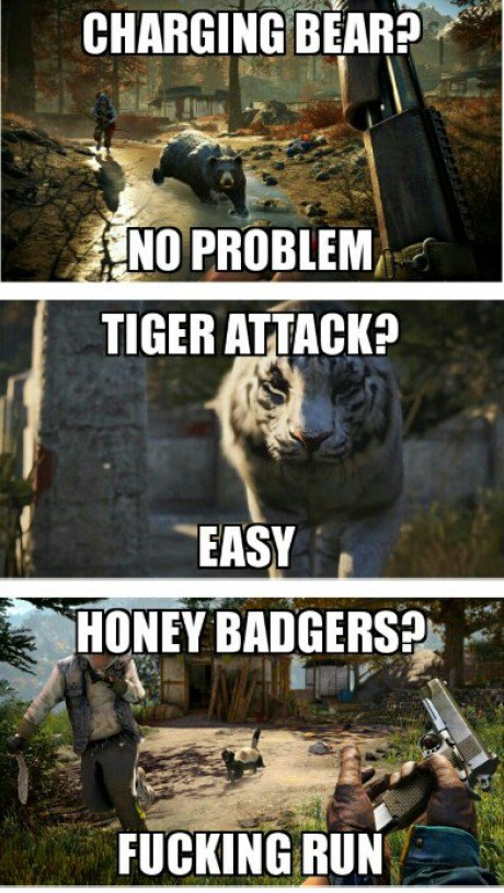 Far Cry tweet media