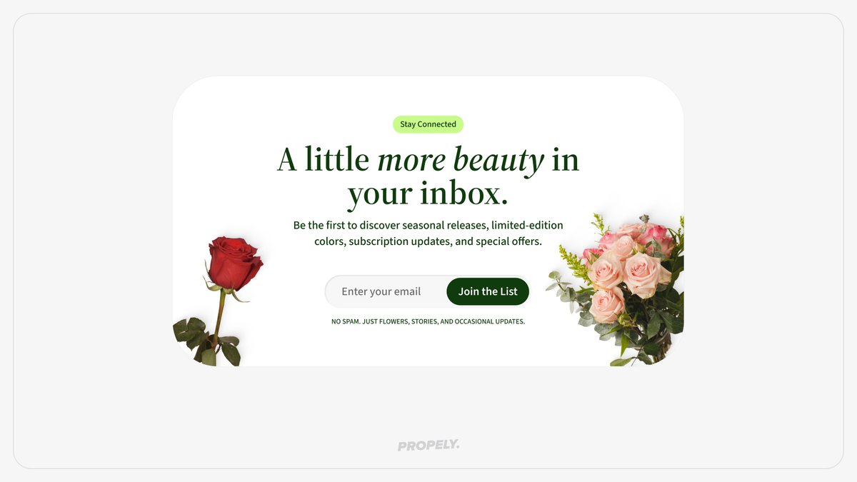 propely_design's tweet photo. Diseñé esta sección de email capture 🌹
👉 La idea no era conseguir un email más.

✅ Era crear un motivo para quedarse.

😉 Porque cuando una marca tiene algo valioso para contar, suscribirse deja de sentirse como una transacción y pasa a ser una invitación. https://t.co/RqRsQ3goxh
