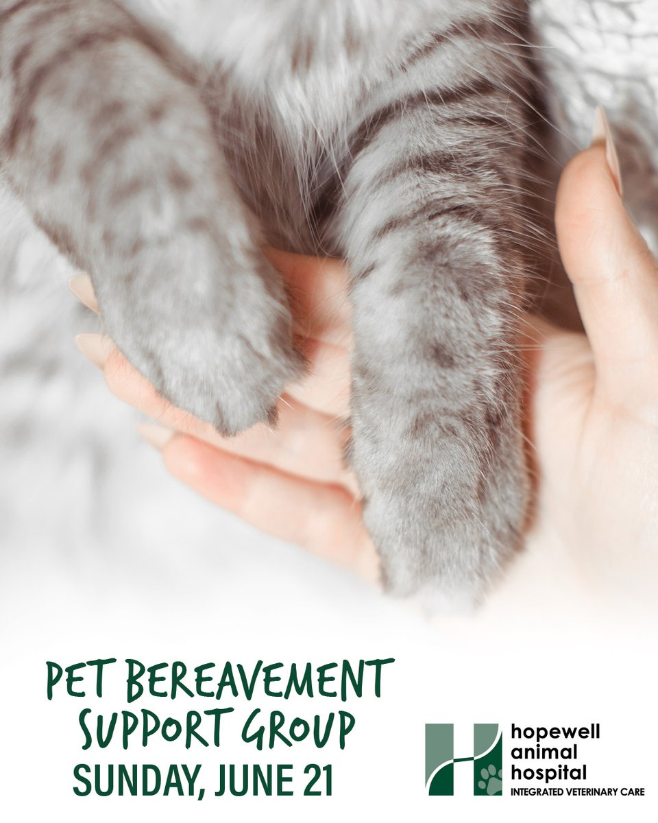 HopewellAnimal's tweet photo. 💜 Pet Bereavement Support Group 💜

You don't have to navigate pet loss alone. Join our free virtual support group led by Lori Dritz, LCSW.

📅 June 21, 2026
🕚 11:00 AM
📍 Zoom
RSVP: (845) 221-PETS (7387) 🐾
#PetBereavement #PetLossSupport #HopewellAnimalHospital https://t.co/634WmzKOGN