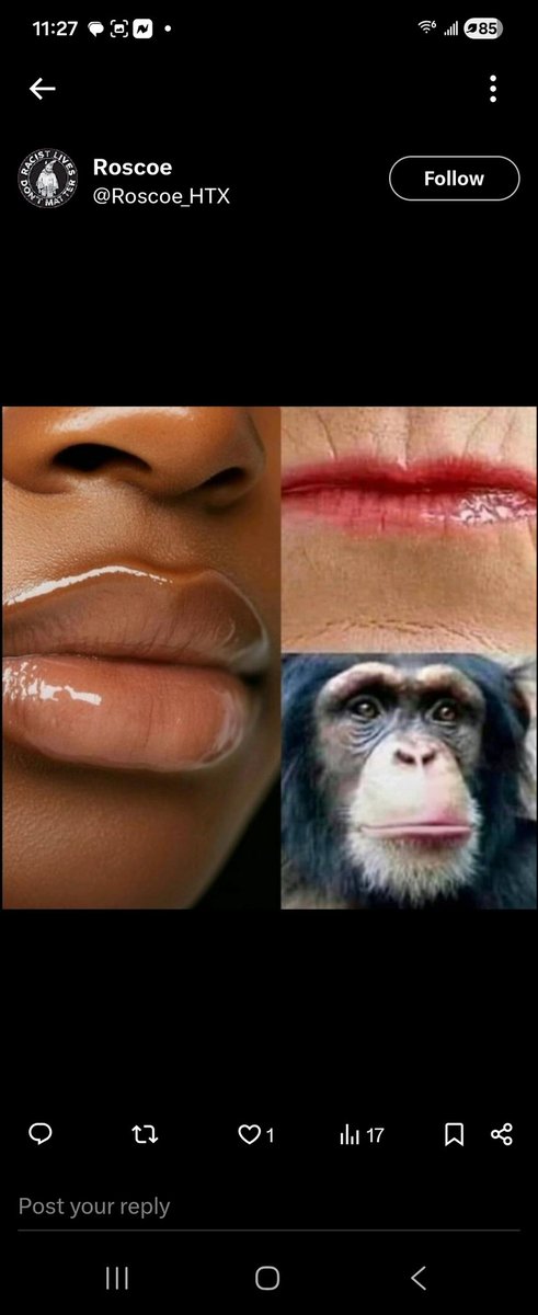 bolis62345's tweet photo. @xWoodchecK @dogfan23HD @iFightForKids Im a chimp but you peckerwoods look like monkey the most. Worry about why your monkey looking as out here fucking four legged animals amd sprwading "Lice" lmao what a stupid ass peckerwood lmao https://t.co/QHZd92gkzh