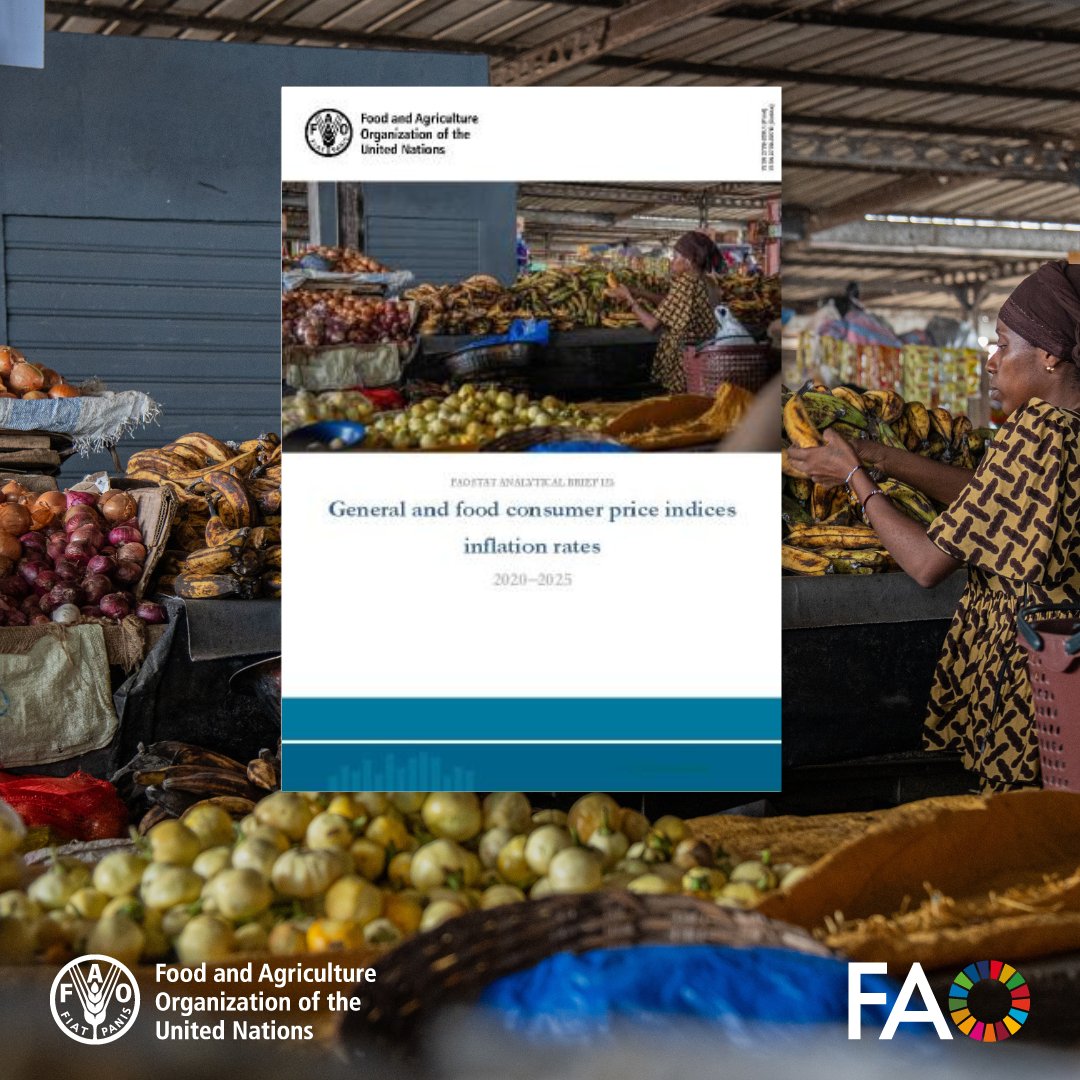 FAOstatistics's tweet photo. Country & regional consumer price indices updated quarterly in #FAOSTAT
In 2025 inflation fluctuated around a stable trend - driven by 📉 energy prices, tight monetary policies & changes in geopolitical & economic scenarios
📊https://t.co/gUlq7SiW8p
📘https://t.co/2QfQYA4KNa https://t.co/13HbFVSmxa