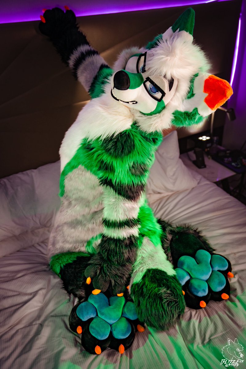 Refferic's tweet photo. Hihi I almost missed #FursuitFriday again, but what do you like the most? My maw, my belly or my paws? 

#Fursuit #Paws #Beans

📸 @Blitz__Fox 
🪡🐶 @FurryFursuit_M 
🪡👔 @Shrumibo 
🪡🐾 @blueprintpaws https://t.co/JNdNbLo8KG