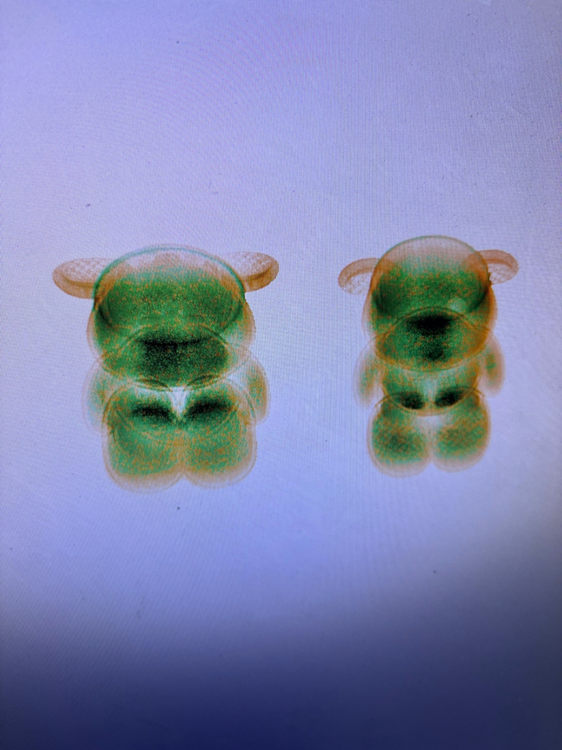 CBPLSSAC's tweet photo. ✈️ Spain to California shipment intercepted! CBP Officers and @CBP Laboratories & Scientific Services scientists busted black plastic bears 🐻❄️ filled with ketamine. 🛡️ Protecting the USA from illicit drugs! 🧪🚫 #DrugSeizure #LabTesting #ScienceInAction https://t.co/pMbKCYlKFY