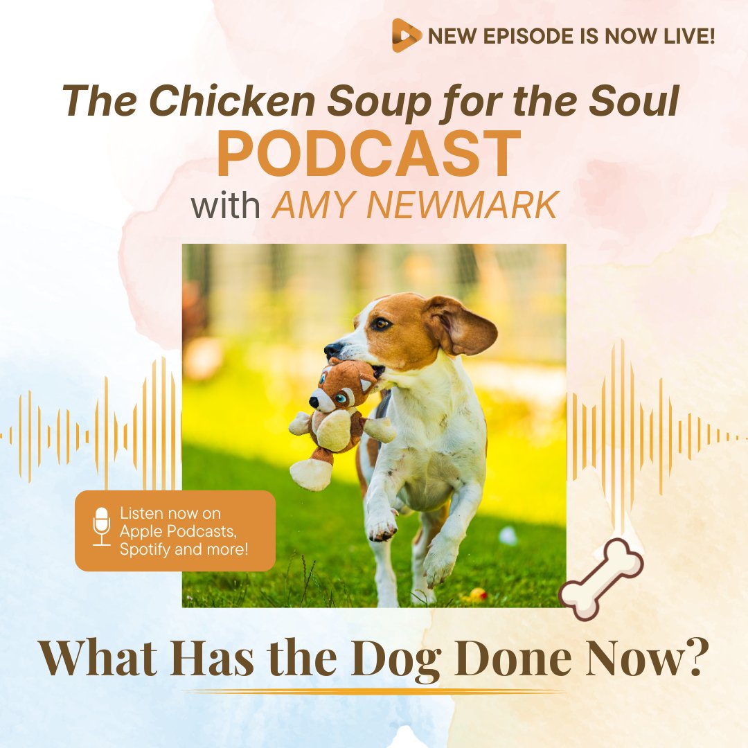 ChickenSoupSoul tweet picture