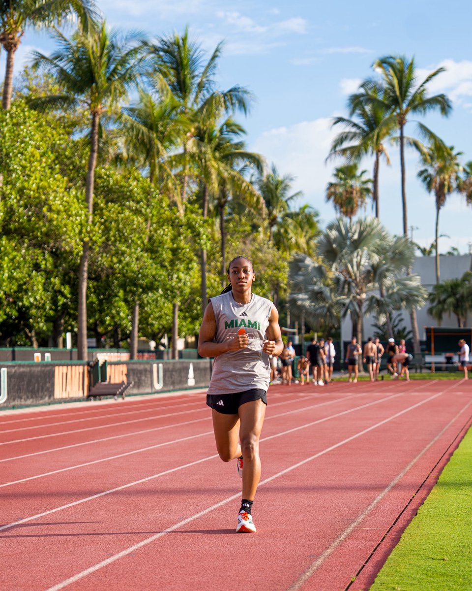 CanesWBB's tweet photo. change of scenery ☀️🌴 https://t.co/kmkk3DY66b