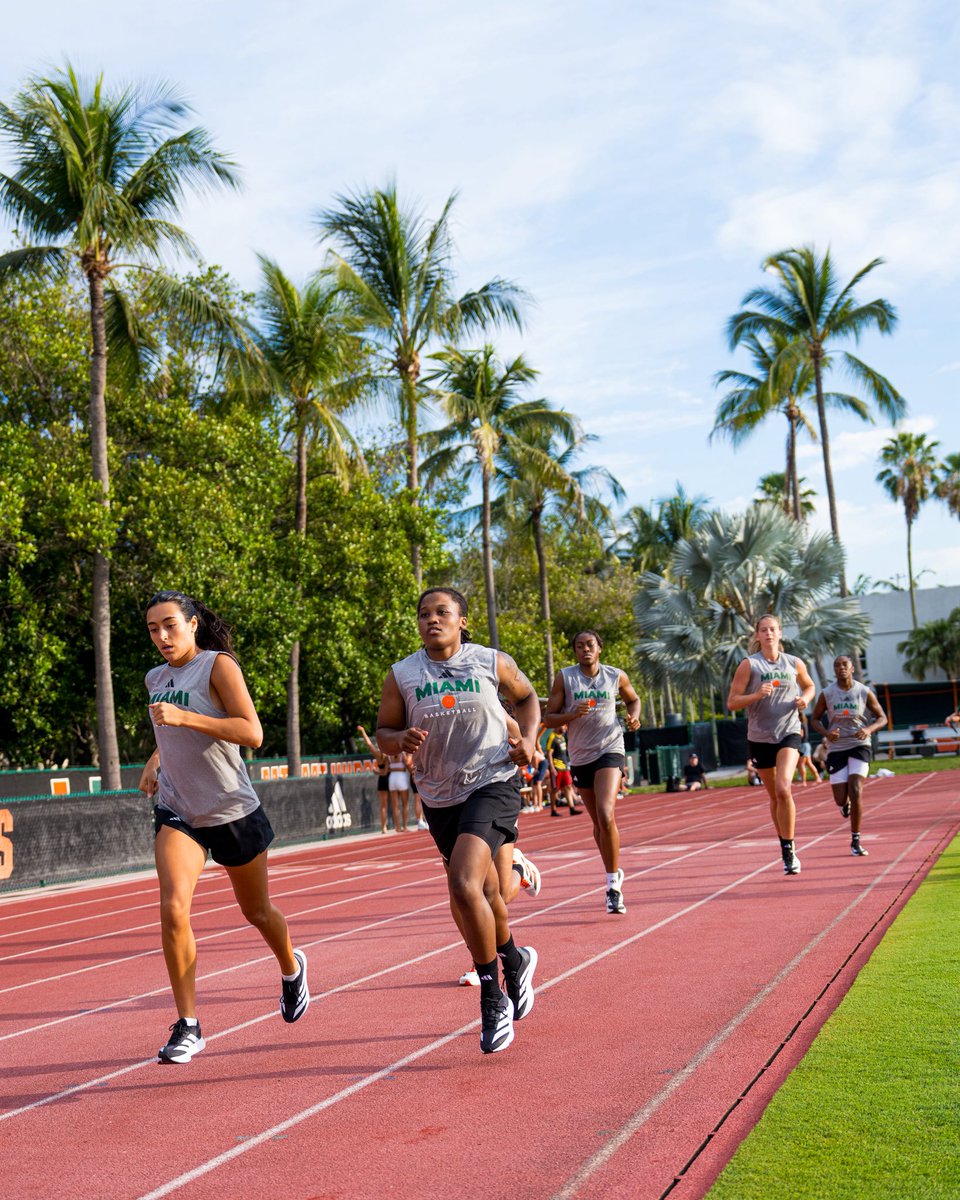 CanesWBB's tweet photo. change of scenery ☀️🌴 https://t.co/kmkk3DY66b