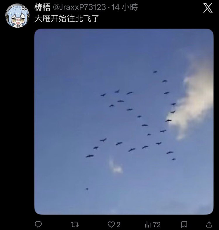 🐻老大🔬兔友研究院Bot tweet media