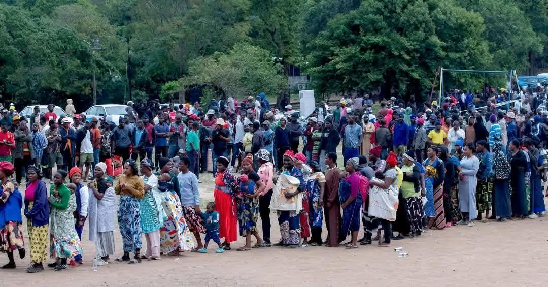 Ntokozo Masuku tweet media