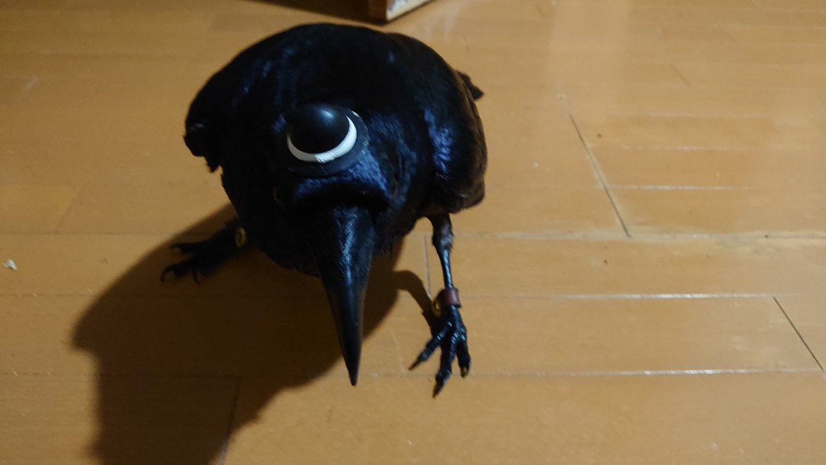 ずーちゃん tweet media