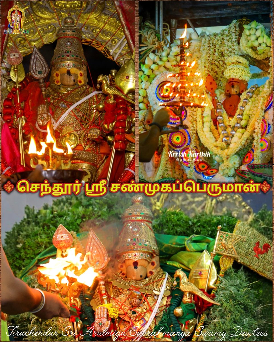 ChendurMuruga's tweet photo. ஓம் எனும் பிரணவ மந்திர கந்தனே
என் முருகனே!
யாவும் நீயென யாக்கை உனக்கென
நாளும் காத்திடு குமரனே!
அழகு என்றால் முருகு எந்தன்
ஆதி தமிழன் தெய்வமே!
அறுபடைக்கும் முதல்வன் நீயே
செந்தில் ஆண்டவ தெய்வமே!

#முருகாசரணம் 🐓🦚
#MurugaSaranam
#मुरुगा_चरणों
#murugansongs
#tiruchendur #murugar https://t.co/tAwW55i1Ez