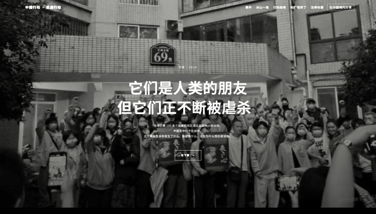 china_action's tweet photo. 【中国行动 ·  #反虐行动 】上线 ‼️

重庆虐狗事件之后，我们做了一个面向中国现实的反虐待动物立法行动工具包。

里面包括 事件还原、立法时间线、行动路径，以及方便境内分享的【中国境内分享版】

#从保护一只猫狗开始
 #把愤怒变成具体行动 

请点击 网页链接：🔗  https://t.co/rvOk2IflOU https://t.co/GrPEu2sofD