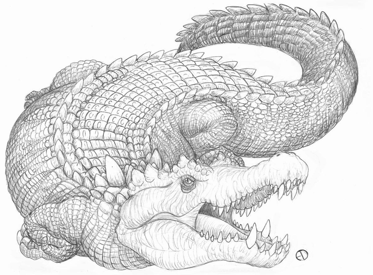 SaurArch's tweet photo. Nomen Dubium III.5: Phobosuchus
#scifiart #lostworld #retro #paleoart #crocodile #deinosuchus https://t.co/0Ffl3gYjxi