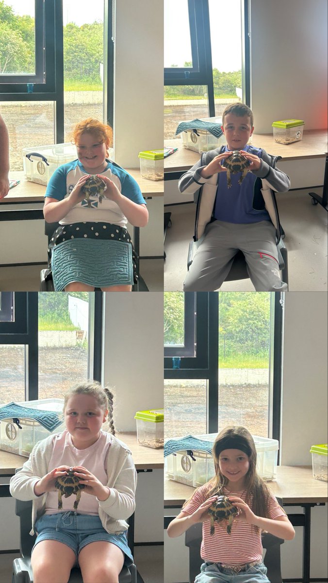 MissSimpson33's tweet photo. Next activity during our fun day was a trip to the petting zoo 🐍🐓 @LawmuirPS @ParentLawmuir https://t.co/X85vuRyQVJ