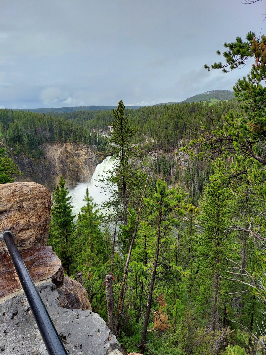 DFarleybear2003's tweet photo. @MarindaVannoy1 Lower Falls.  This photo is of the Upper Falls of the Yellowstone River. https://t.co/IlnFrARD4J