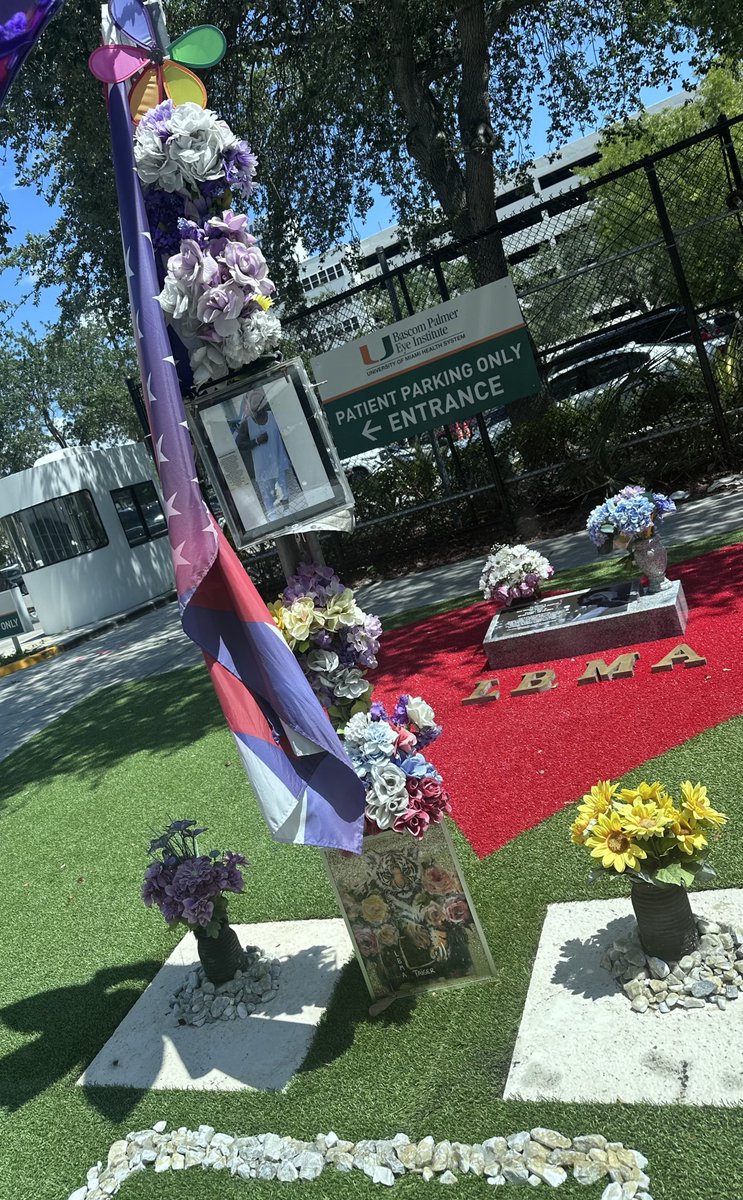 joselnapoles's tweet photo. Los seguidores del #Taiger lo recuerdan donde fue baleado, y hoy @univision23 los espera a las 12:30 con lo último sobre el juicio a su presunto asesino. https://t.co/ok5BWpvFYa