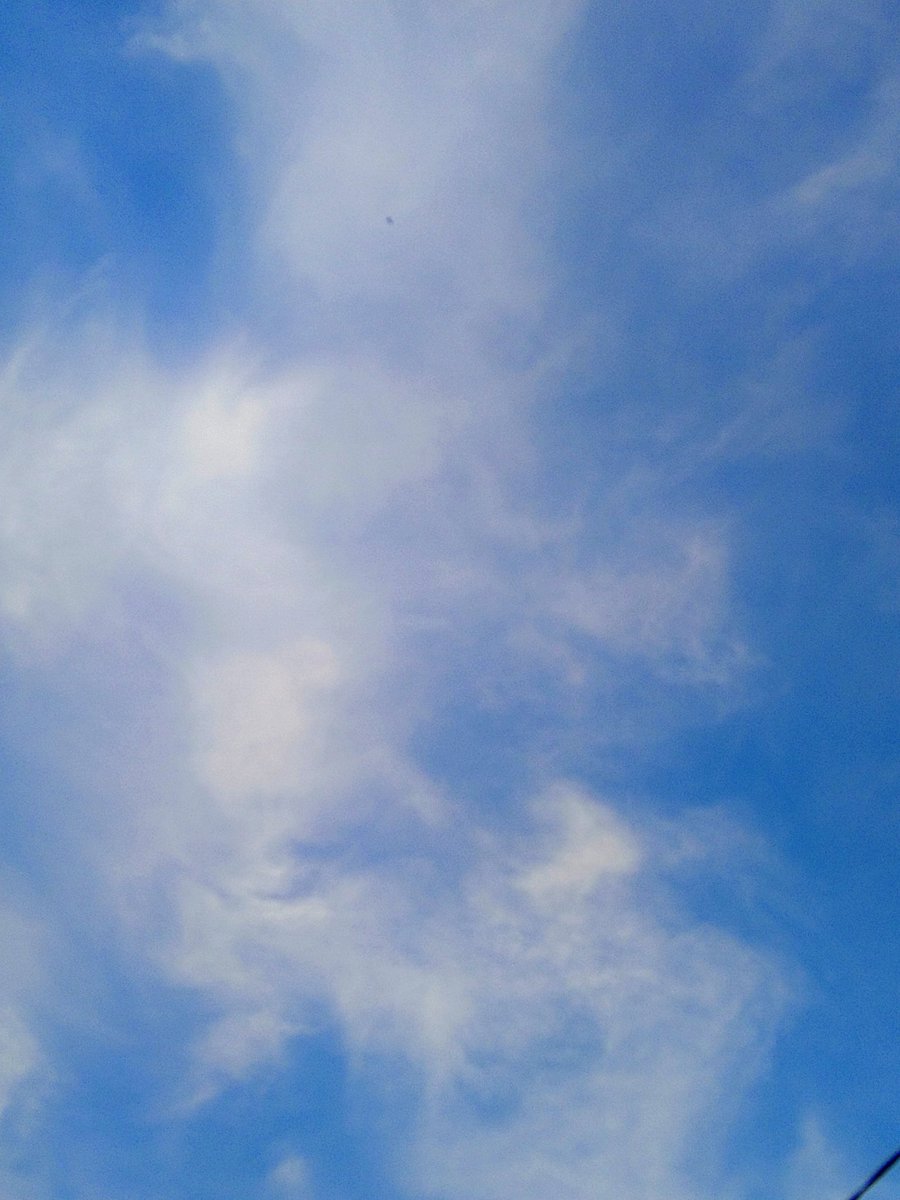 elestrellaAzul's tweet photo. 私が感じる自分のいる場所って、きっちりと整えられた花壇ではなくて、風が通る空き地みたいな場所にいる感じがする。空の空地 https://t.co/wYzpfaEdfJ