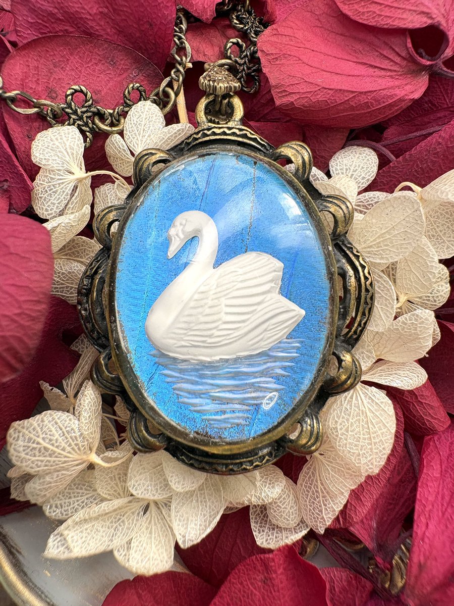 AnimaAdamas's tweet photo. 🦋標本🦋
・
・
・
🦋💍🦢💎✨ https://t.co/Z7K5pMdVsA