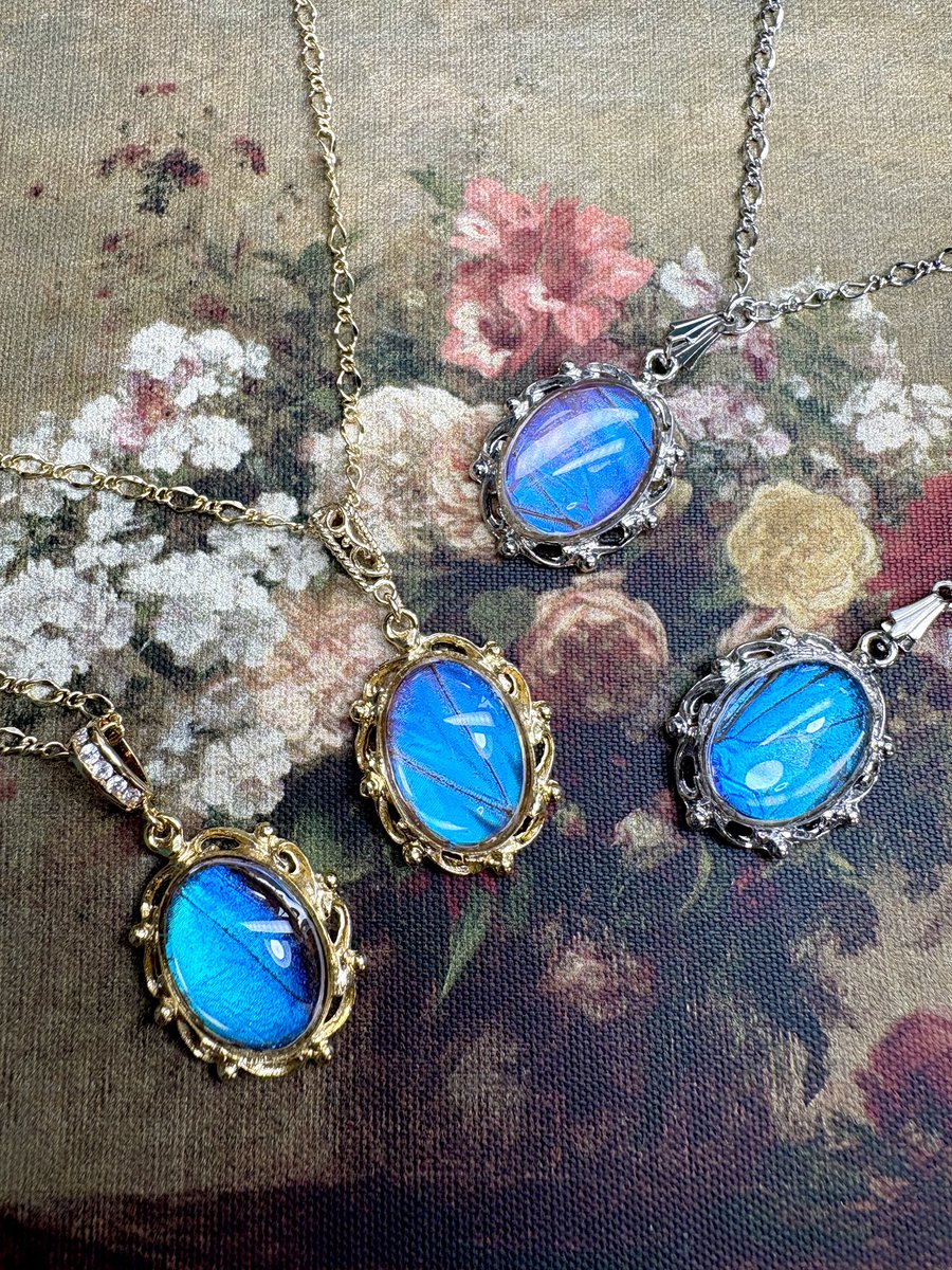 AnimaAdamas's tweet photo. 🦋標本🦋
・
・
・
🦋💍🦢💎✨ https://t.co/Z7K5pMdVsA