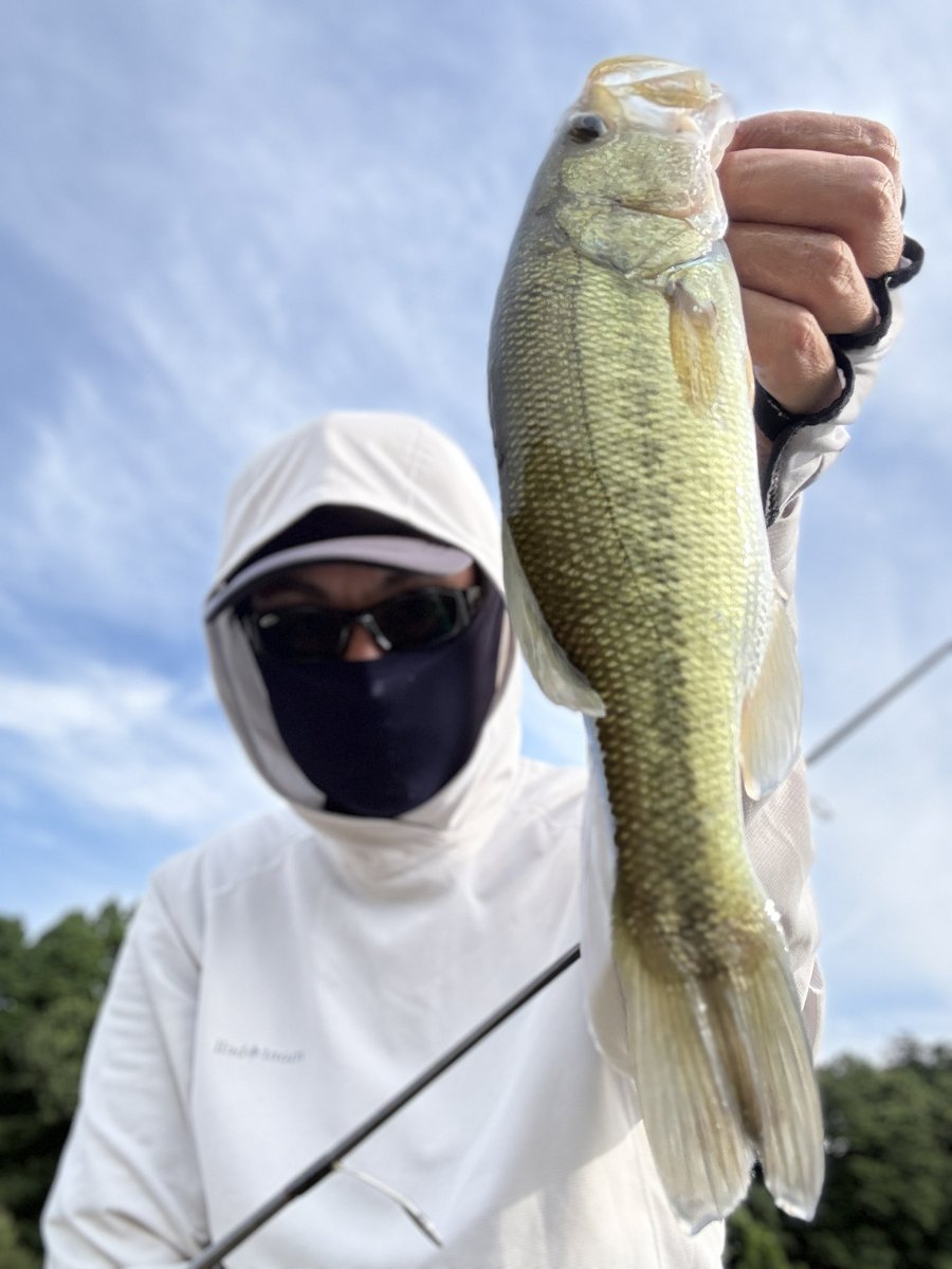 full096jpn's tweet photo. 昼から近所の池へ
水波95でしぬほどバラして1フィッシュ🫪
@ez_Laboratory #PR
#バスフィッシング https://t.co/7XHDM2w5Pv