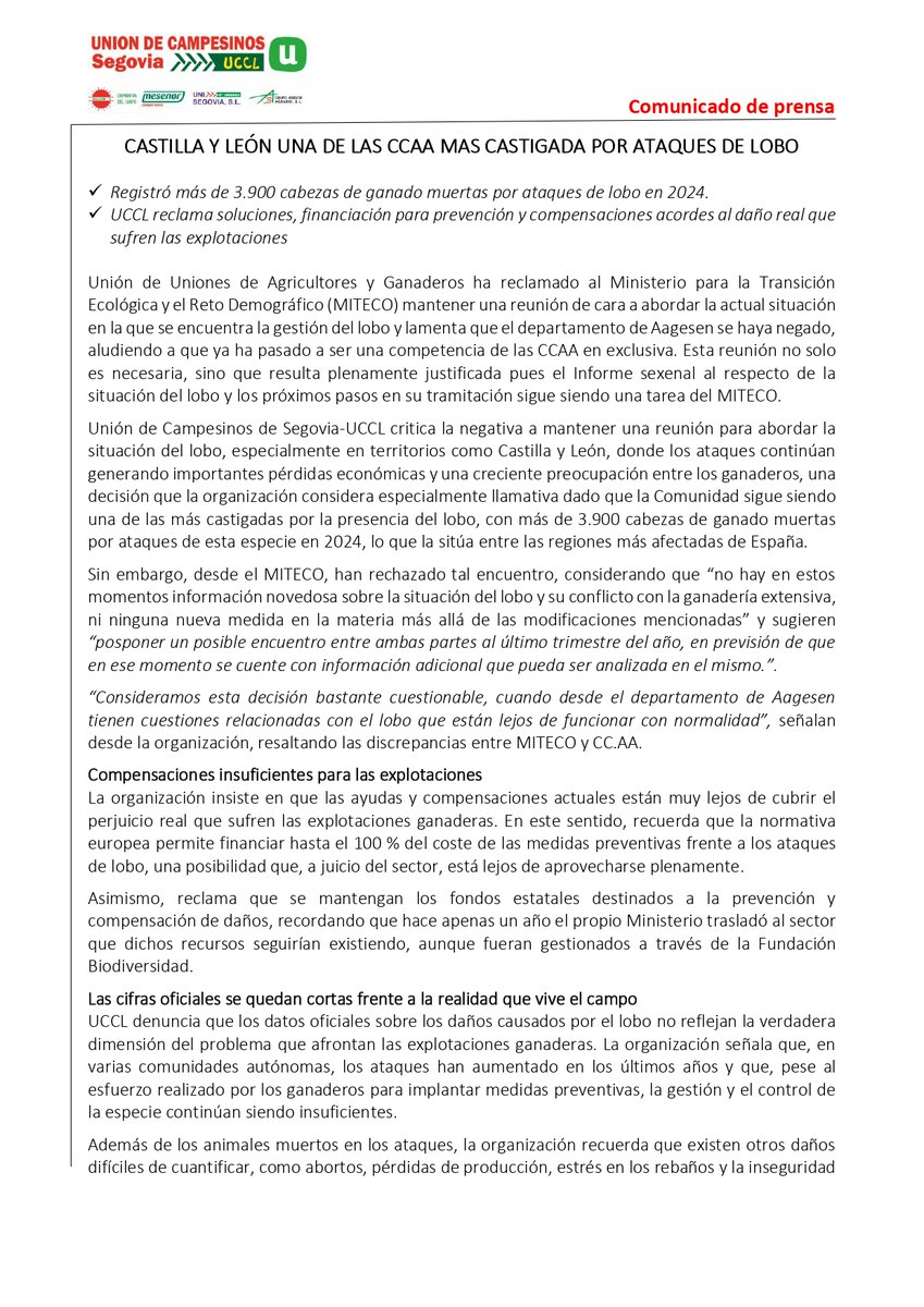 UCSEGOVIA's tweet photo. Con más de 3.900 cabezas de ganado muertas por ataques de lobo en 2024, Castilla y León es una de las CCAA más castigadas por los ataques
UCCL reclama soluciones, financiación, prevención y compensaciones acordes al daño real que sufren las explotaciones
https://t.co/sKXuogAPtt https://t.co/2CFwIrMKj1