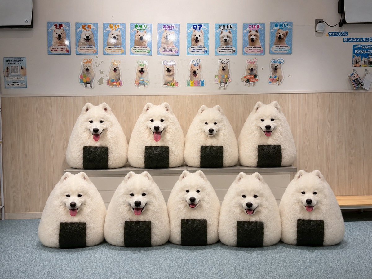 お好きなお味をお選びください。 なお、お選びできない方は全員お