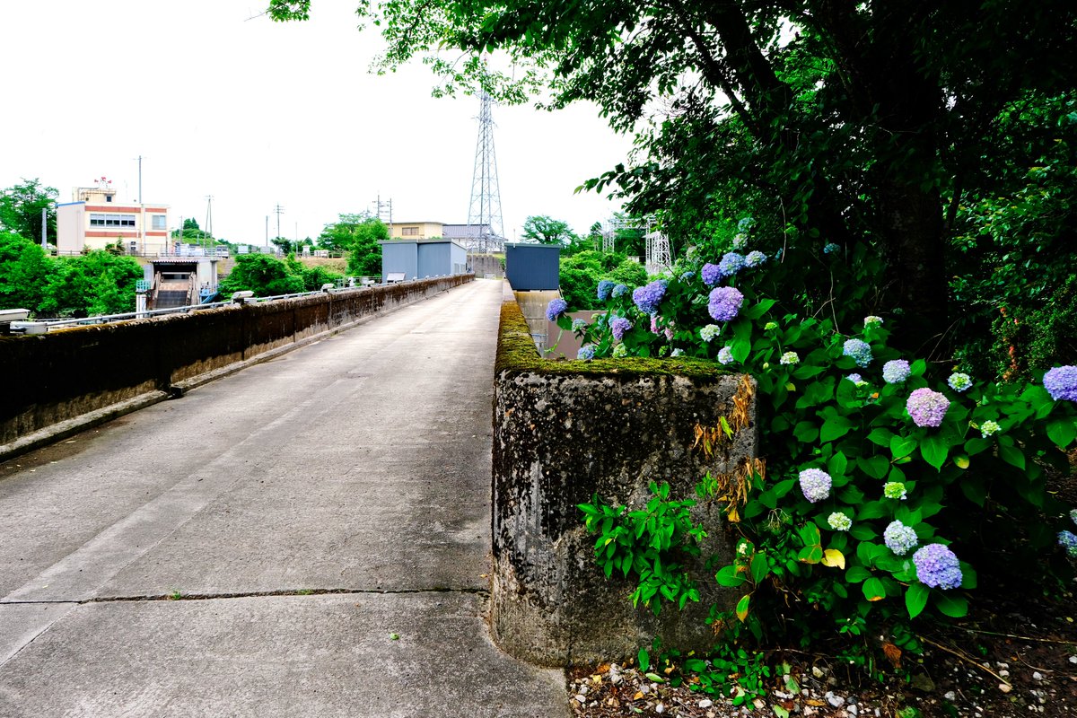 back_backflash's tweet photo. 国道359号線まで戻ってきて、今度は和田川ダムを目指した。この周辺に来るのは多分4‐5年ぶり。堰堤脇にある石碑は竣工当時の表記になっていて、新湊市と小杉町は合併しているがここを訪れる人は限られているので訂正するほどでもないのだろう。何度見ても堰堤下に鎮座している発電所の配置は面白い https://t.co/UkGx3bELSY