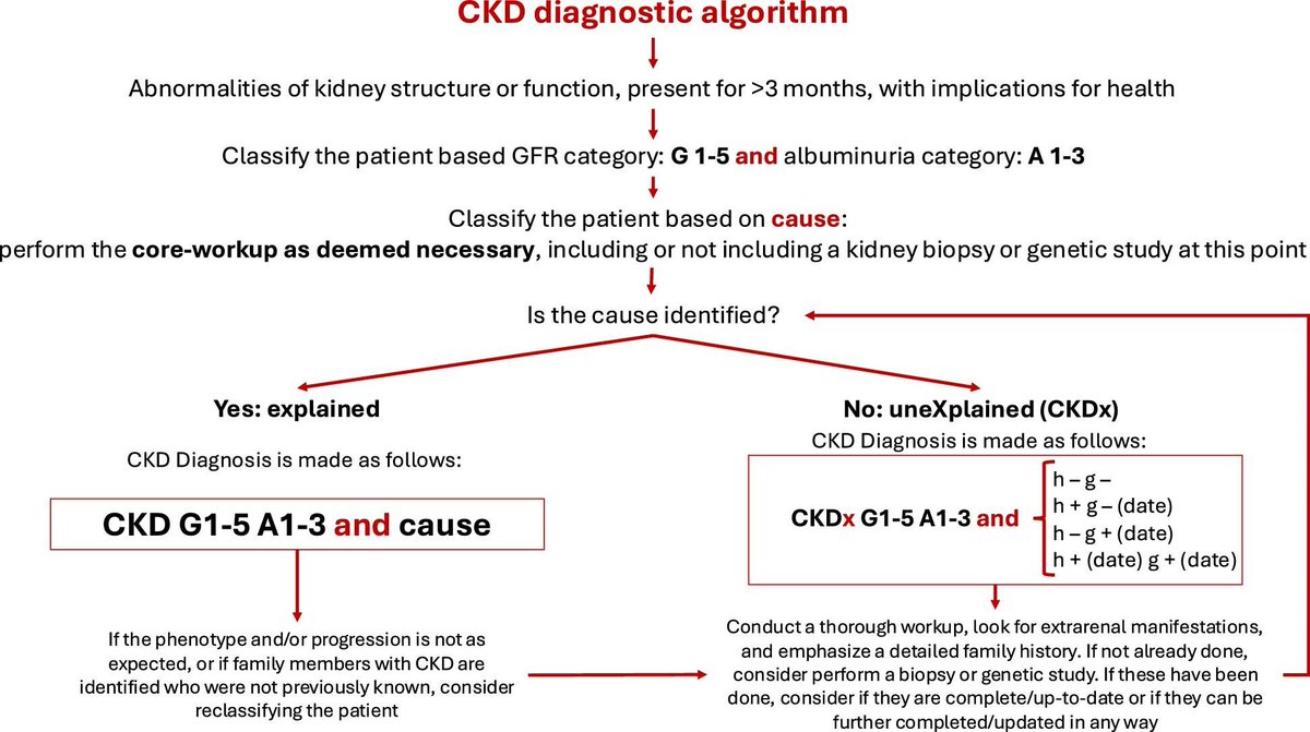 NDTsocial's tweet photo. Chronic Kidney Disease of unexplained cause (CKDx): 

a consensus statement by the Genes &amp; Kidney Working Group of the ERA

🔓https://t.co/YQdYUevZ2T

@ERAkidney https://t.co/J0Rl7e4Lbb