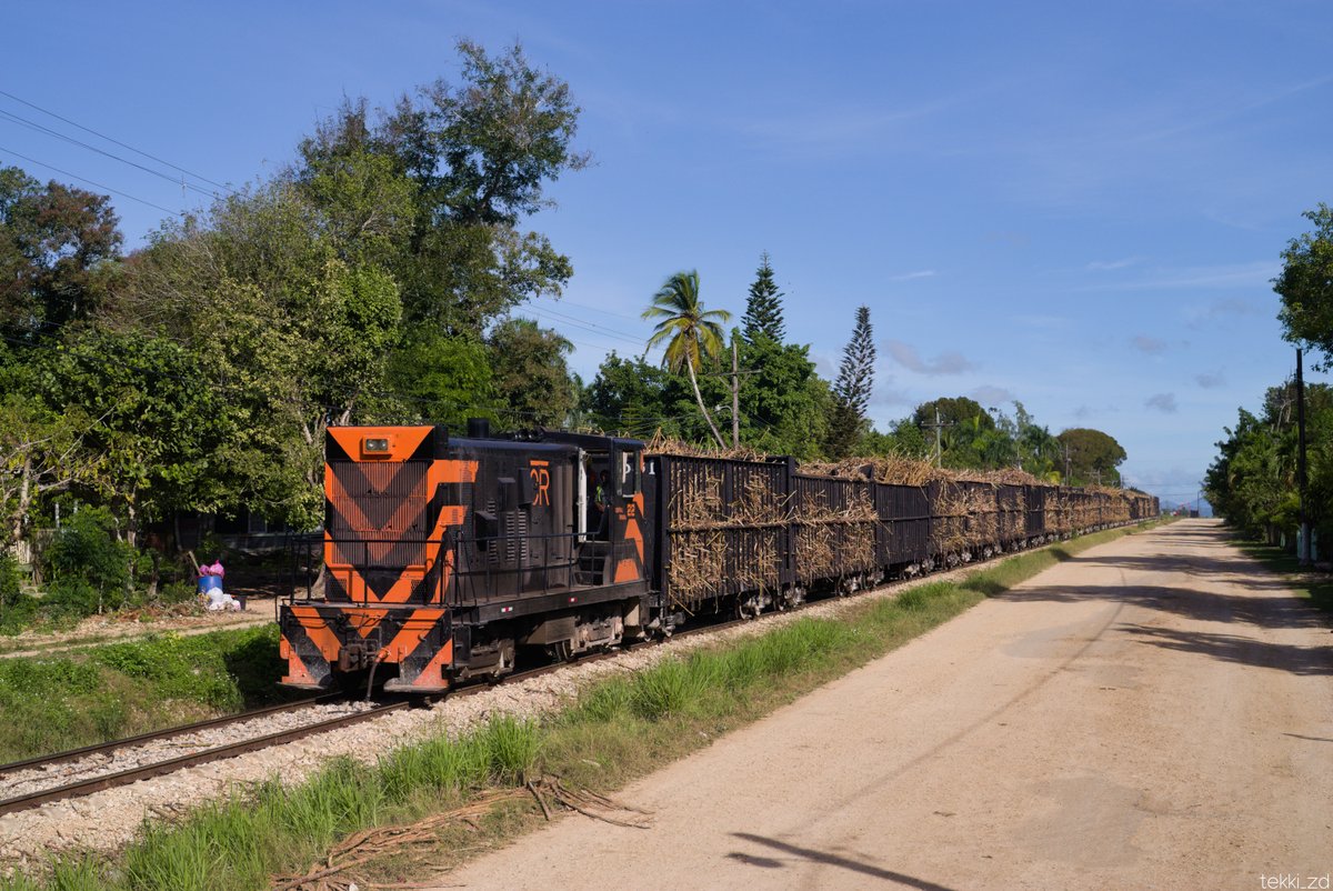 tekki_zd's tweet photo. ドミニカ共和国の製糖鉄道　Central La Romana 

4つの州、354kmに及ぶネットワークを持つ、1435mmの砂糖産業鉄道。
さとうきびをフル積載し、推定60km/h以上で走る姿は、製糖鉄道のイメージを覆すものだ。

カリブ海の青空の下を走る鉄道は、美しく、迫力があった。
2026年1月撮影 https://t.co/Je71GSDkaP