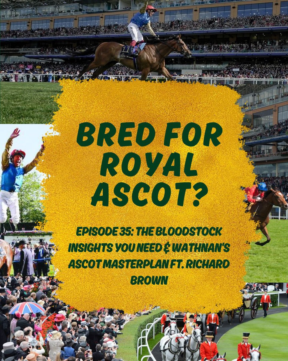 jess_stafford_'s tweet photo. Royal Ascot stallion stats that will surprise you:

Mehmas - 0 from 78 
Sioux Nation - 0 from 17

Find out MORE on the Royal Ascot bloodstock lines incl sprint stallion king (isn’t who you think) on the latest episode of Bred For It ft Richard Brown @BlandfordBldstk 

https://t.co/iVBJKi5qvP