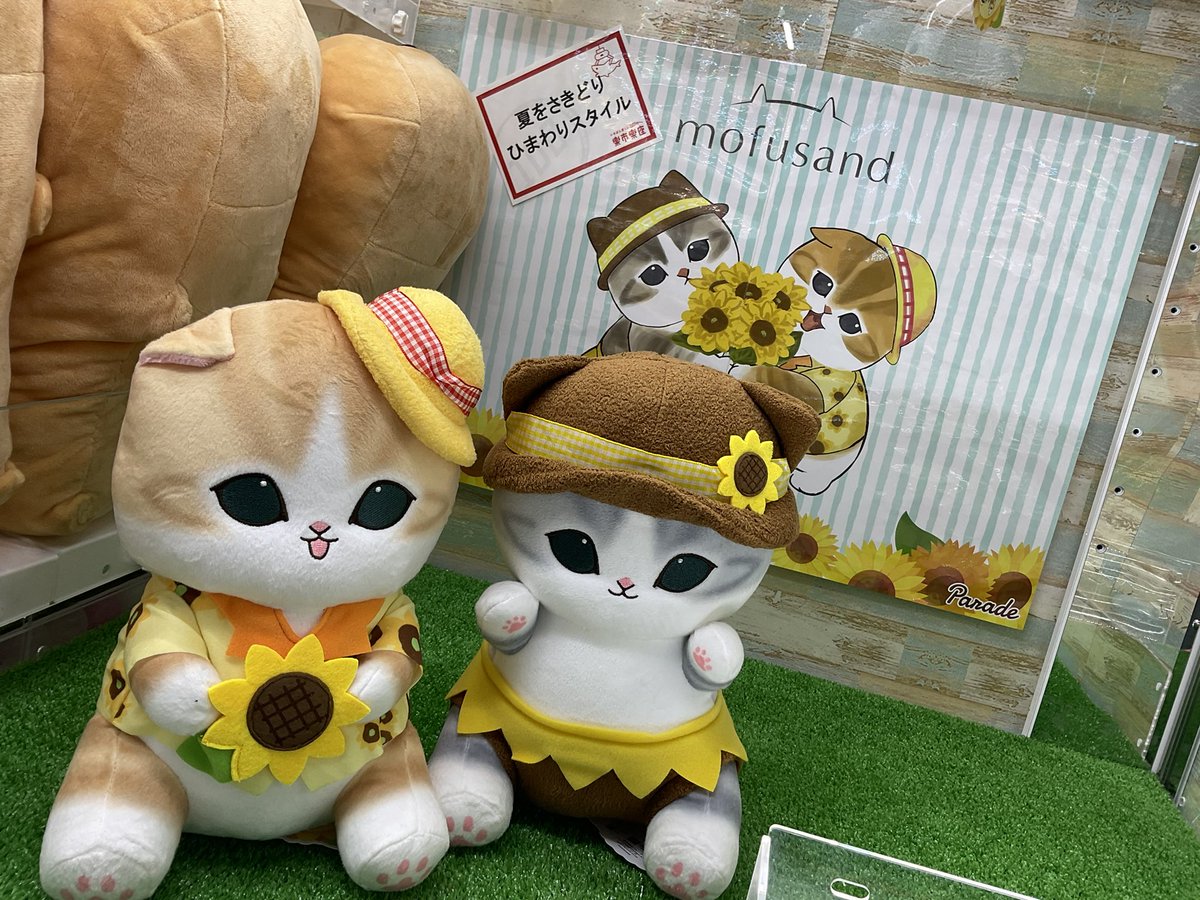 mofusandひまわりにゃんBIGぬいぐるみ入荷しました！！！ ひまわり