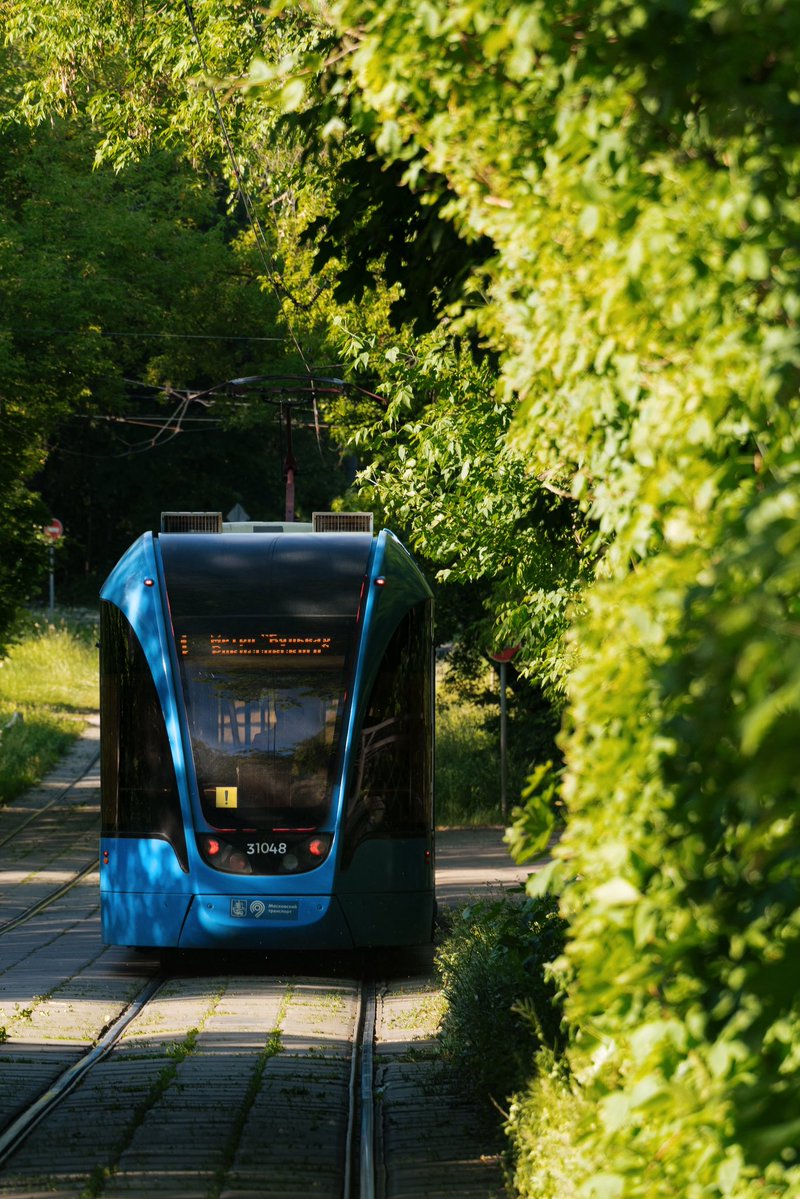 ksarzie's tweet photo. Трамваи в Сокольниках, летняя версия 🚋 https://t.co/ikBZ92QOkm