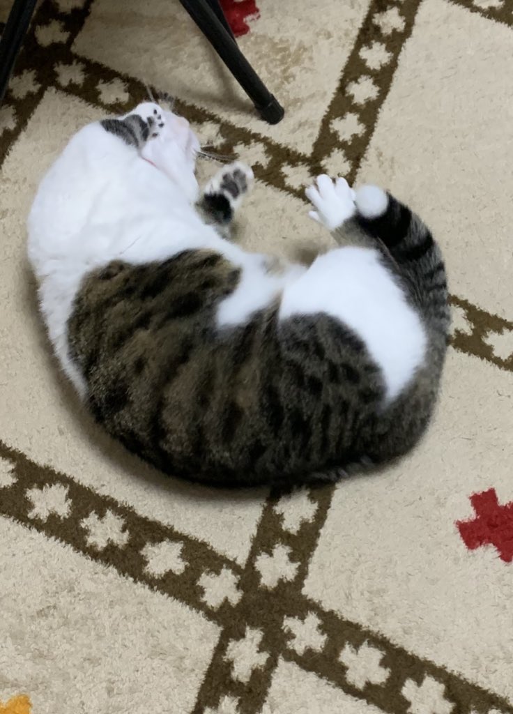 Leech_D_'s tweet photo. これかな…？ https://t.co/xoE5et9DCO