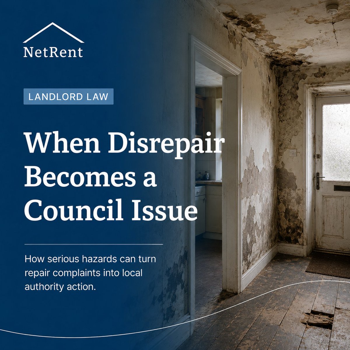 NetRent tweet picture