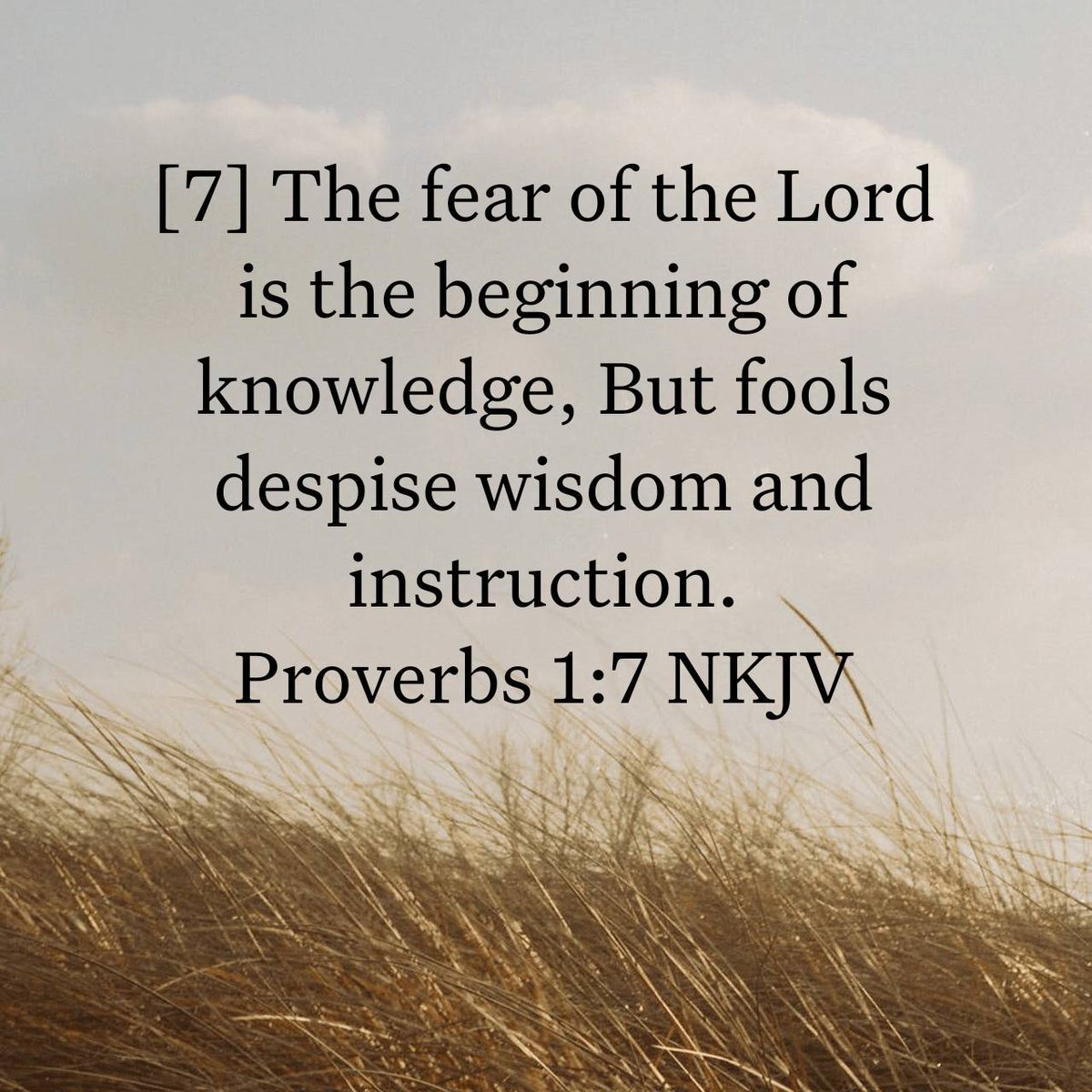 thoughtsnaday's tweet photo. Proverbs 1:7 NKJV
[7] The fear of the Lord  is the beginning of knowledge, But fools despise wisdom and instruction.

https://t.co/5goVkDL5zM https://t.co/xgt1ngPsxb