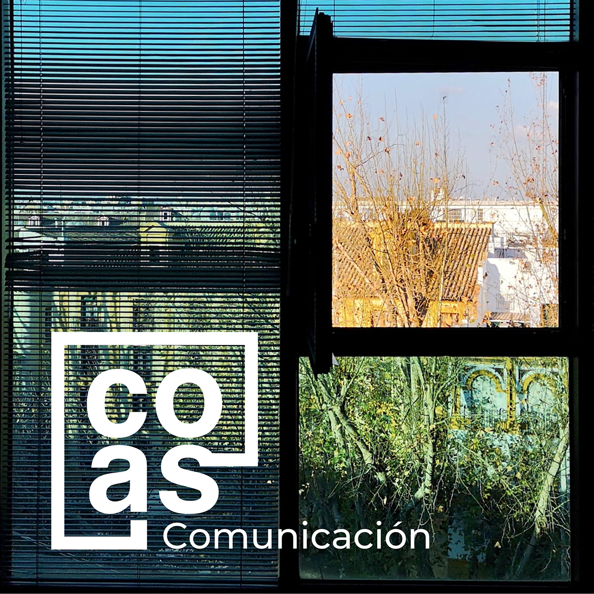 COASevilla tweet picture
