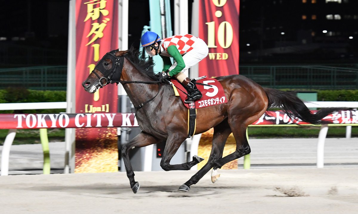東京シティ競馬 (TCK) on X: 