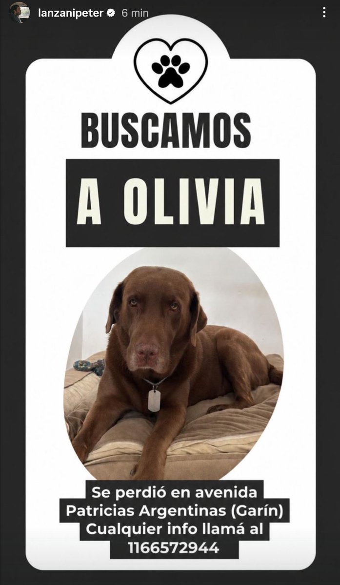0809naara's tweet photo. Aaawwww 🥺 que cosita más linda Olivia https://t.co/Nlw3V0O4PL
