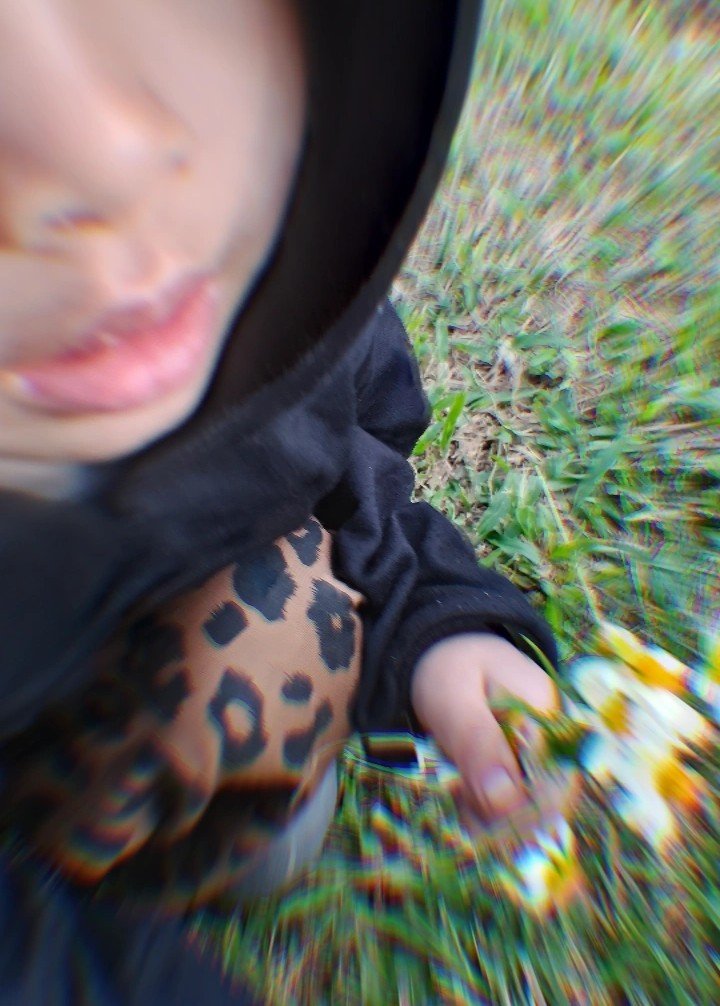 daisyfloweeeer's tweet photo. summer depression https://t.co/BbNIrqeRZs