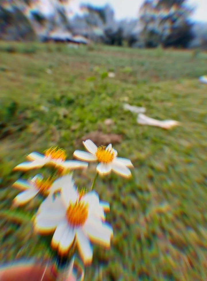 daisyfloweeeer's tweet photo. summer depression https://t.co/BbNIrqeRZs