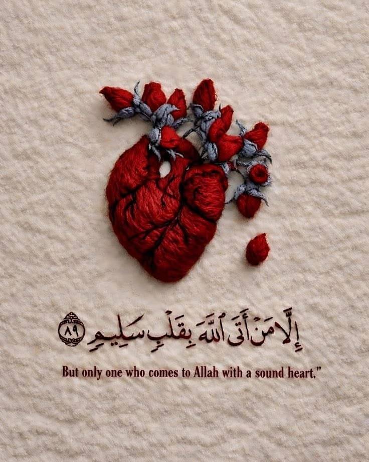 Al__Quraan's tweet photo. "إِلَّا مَنْ أَتَى اللَّهَ بِقَلْبٍ سَلِيمٍ" https://t.co/DknE770Btn